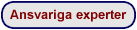 Ansvariga experter
