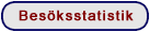 Bes�ksstatistik